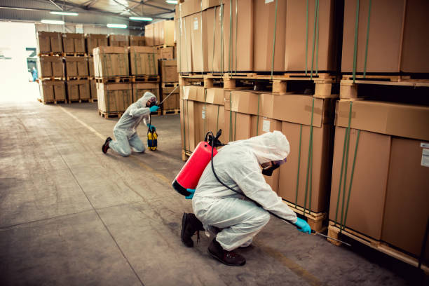 Best Mosquito Control Services  in Elizabethtown, KY
